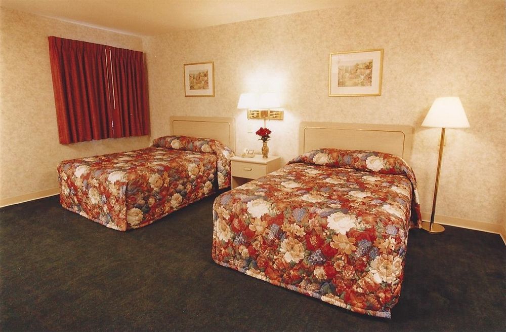The Springwater Motel